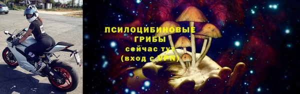 a pvp Горняк
