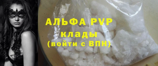 тгк Гусев