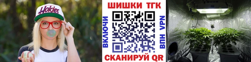 Шишки марихуана сатива  Купить  Кологрив 